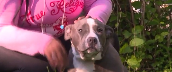 Snapchat helps bring missing Virginia dog home