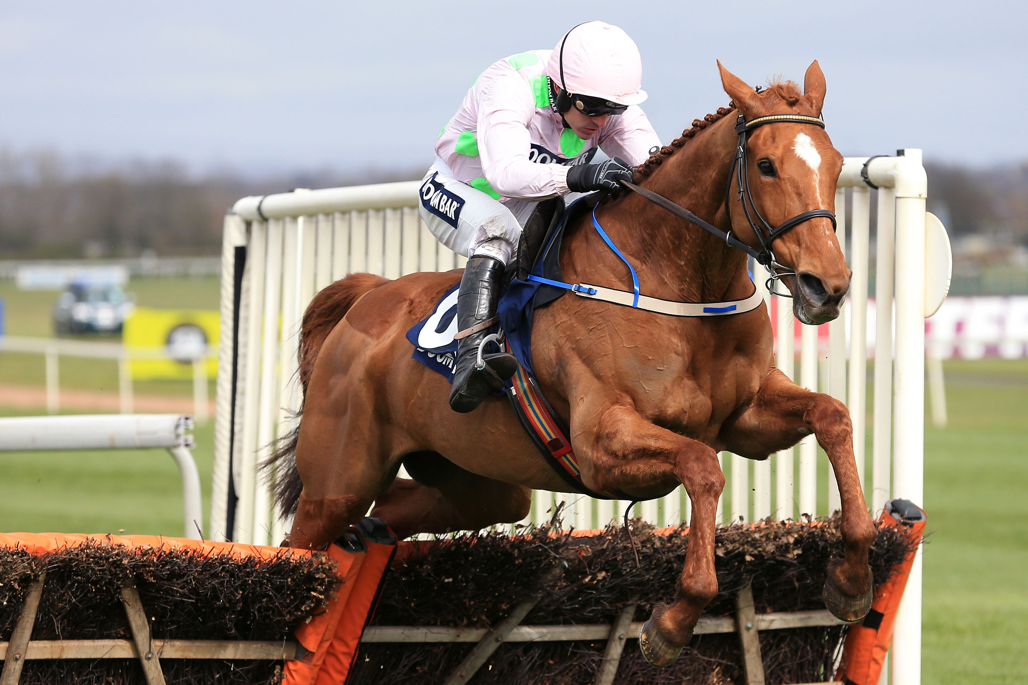 2 horses die at Aintree Festival