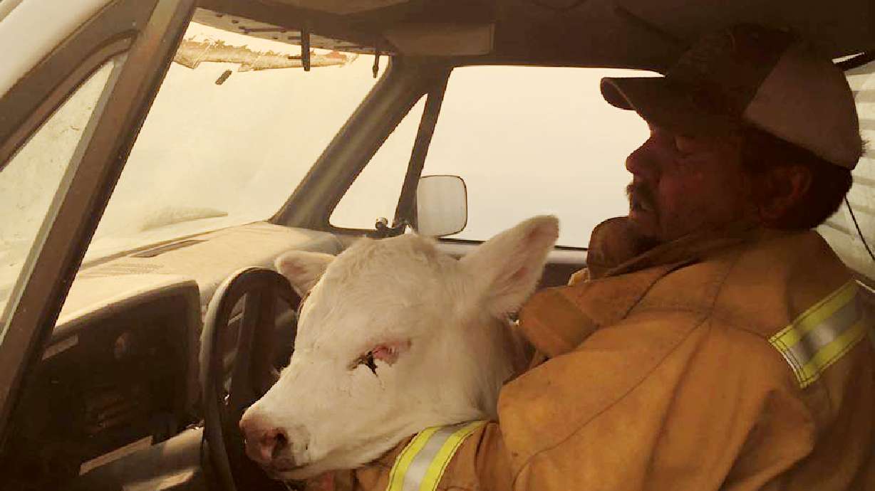 The Latest: Fatigued firefighters assess damage in Oklahoma