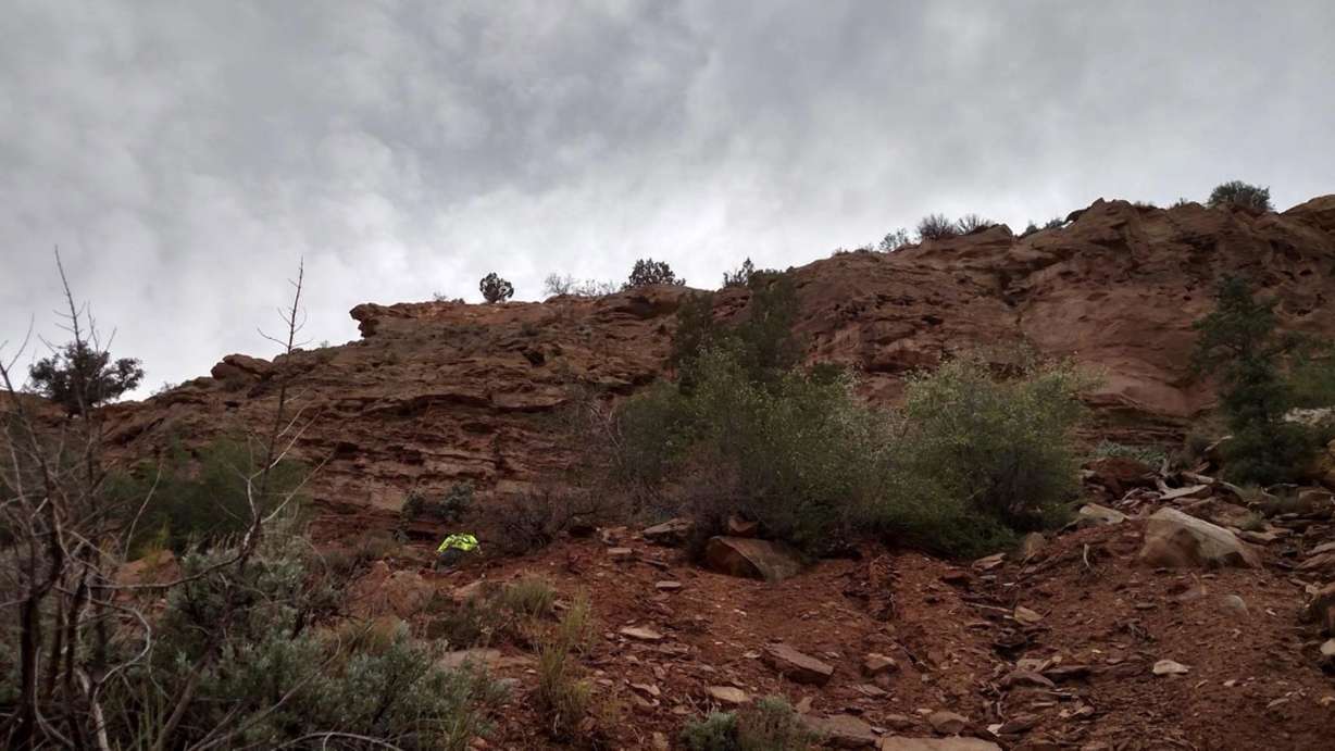 View from the bottom of the cliff Toby, a 1-year-old English Sheepdog poodle, leapt from Thursday, April 7, 2016, at Gooseberry Mesa in Washington County. (Photo: Washington County Sheriff's Office)