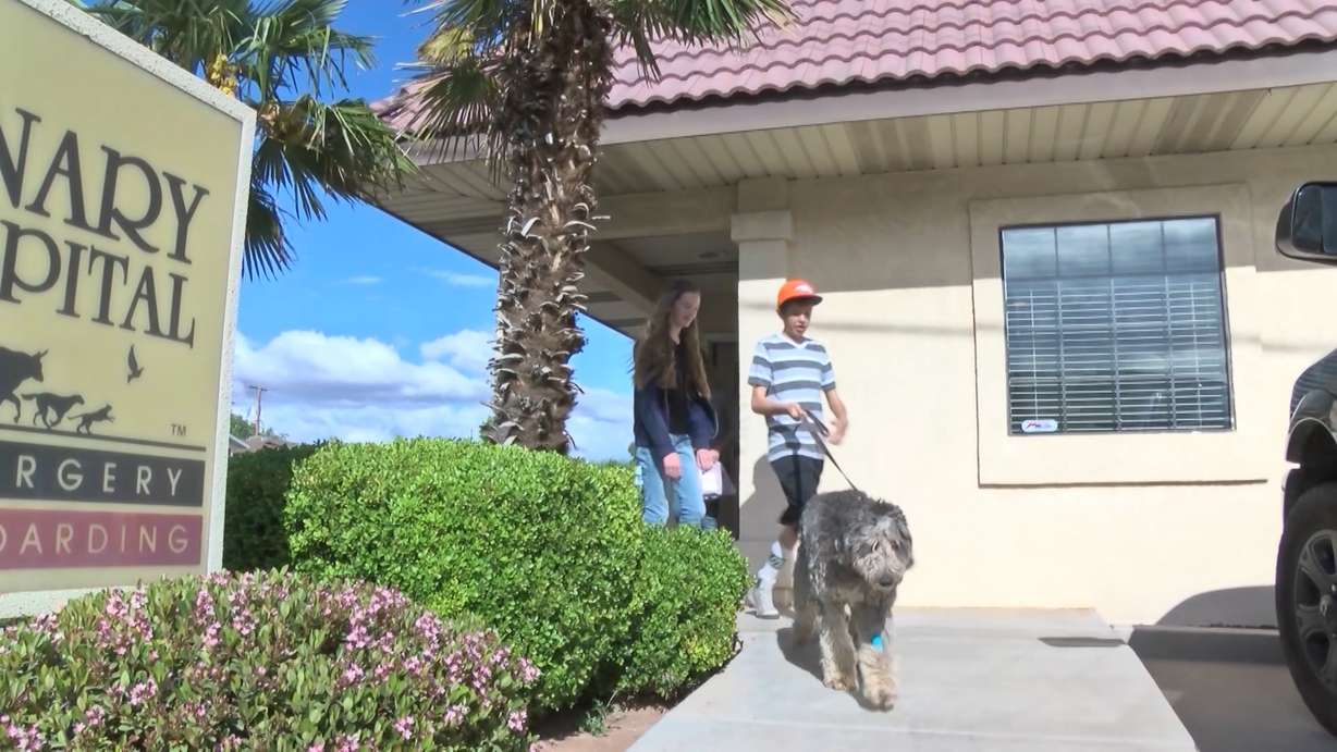 Members of the McInnes family of Eagle Mountain leave the St. George Regional Veterinary Hospital with their dog, Toby. (Photo: KSL-TV)