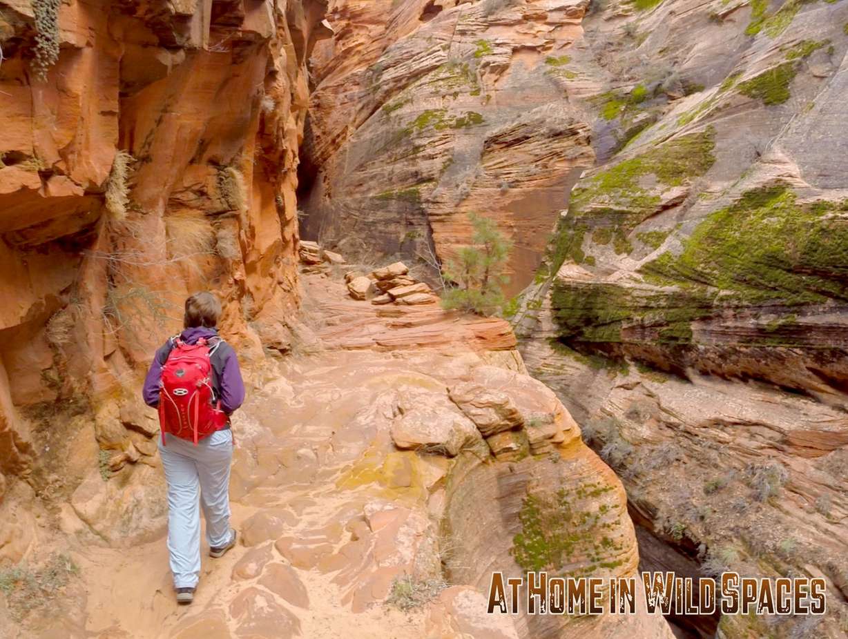 Photo credit: Mike Godfrey