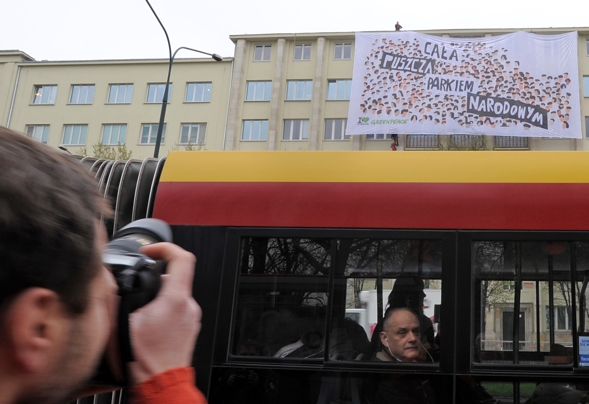 Greenpeace protests logging in Poland's rare primeval forest