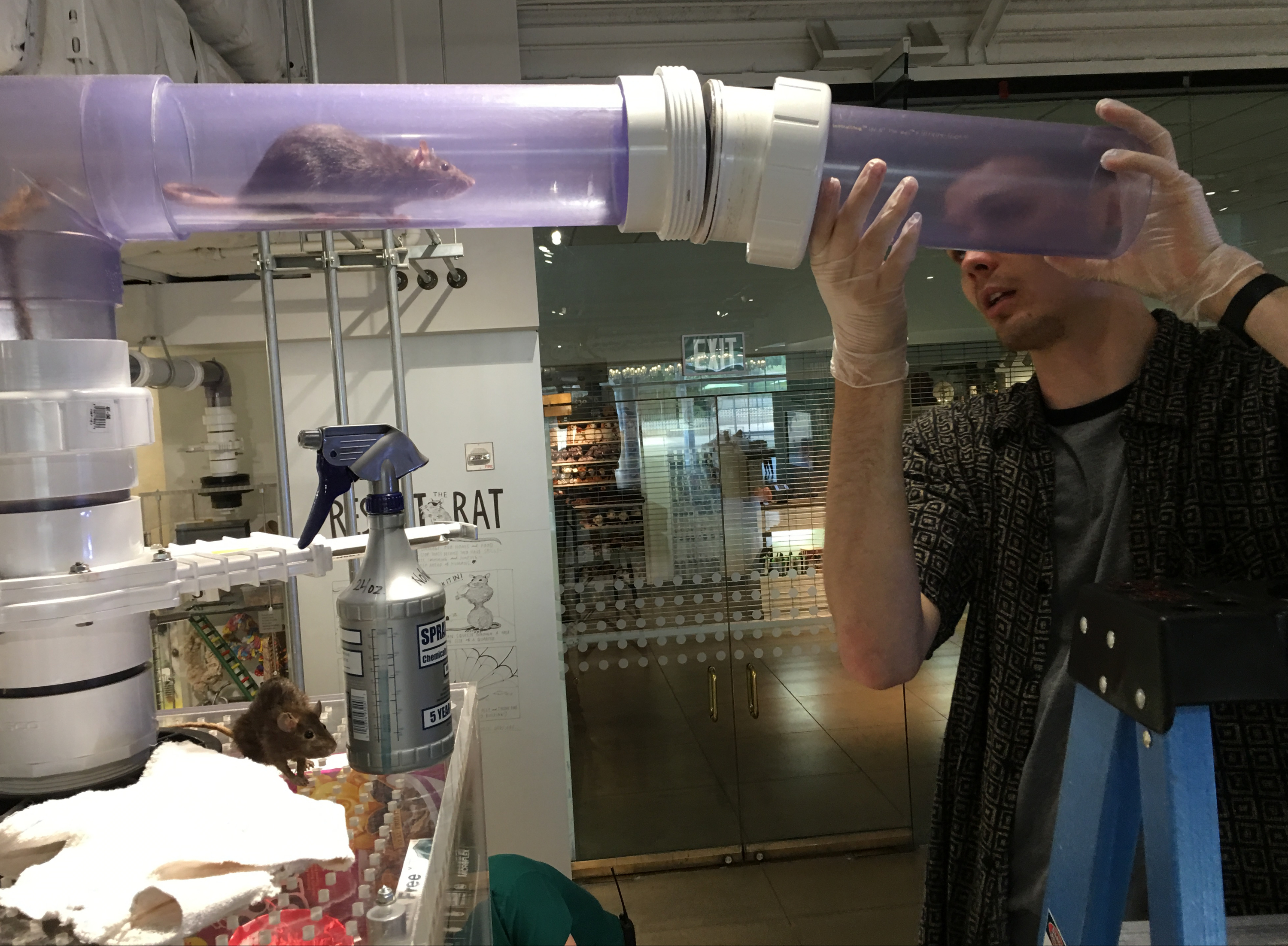 Museum enlists volunteers in search for creepy crawlies