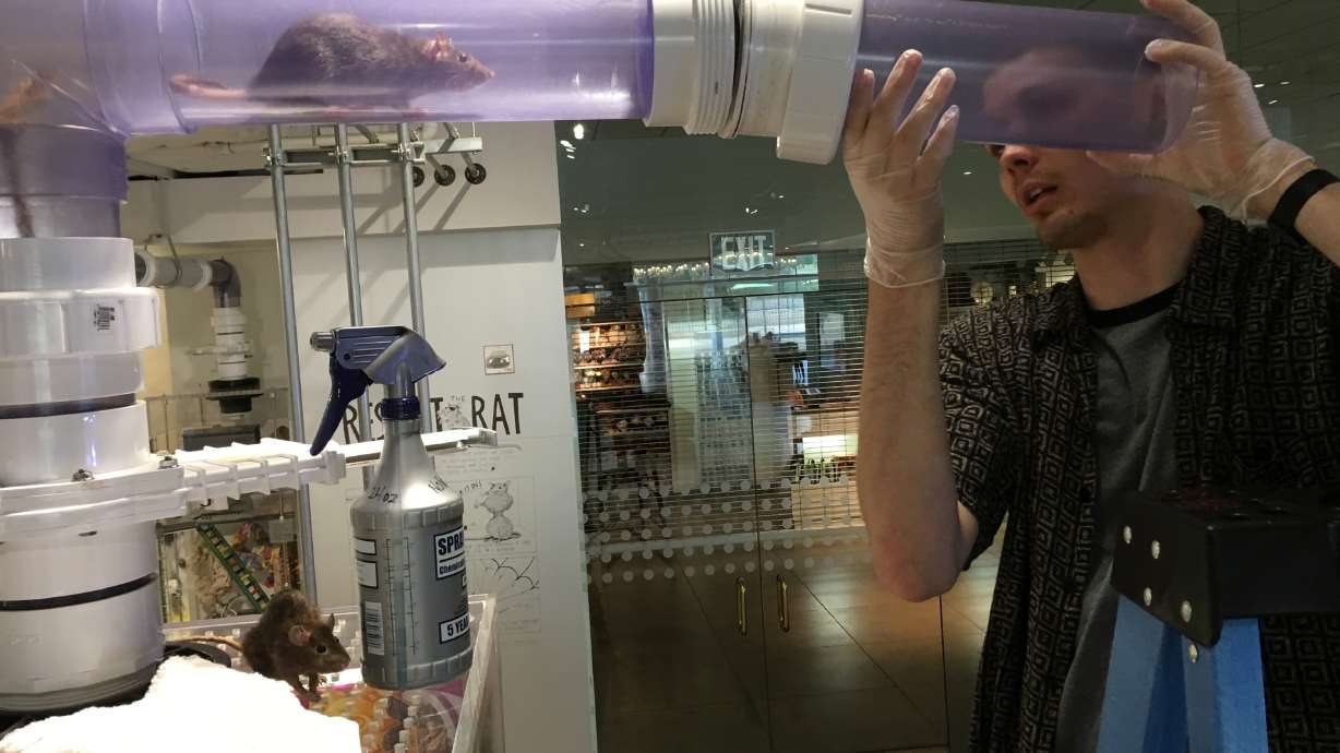 Museum enlists volunteers in search for creepy crawlies