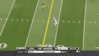 Dres Anderson runs it in for a touchdown against Michigan at the Big House