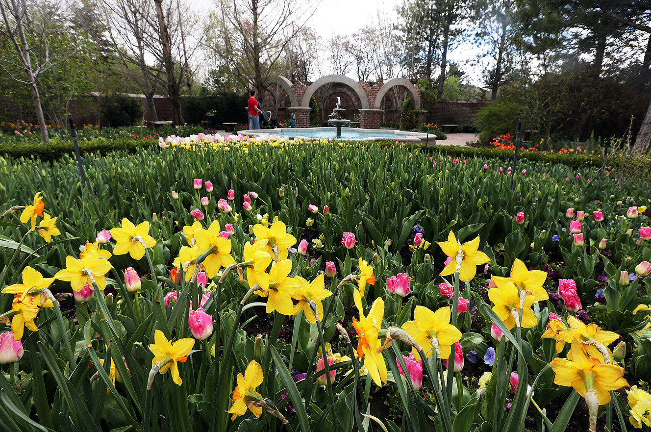 Visitors tour the secret garden during the Tulip Festival at Thanksgiving Point in Lehi on Friday, April 15, 2016. (Photo: Ravell Call, Deseret News)