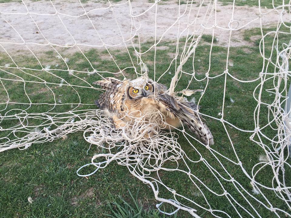 Photo: Fox Hollow Elementary School