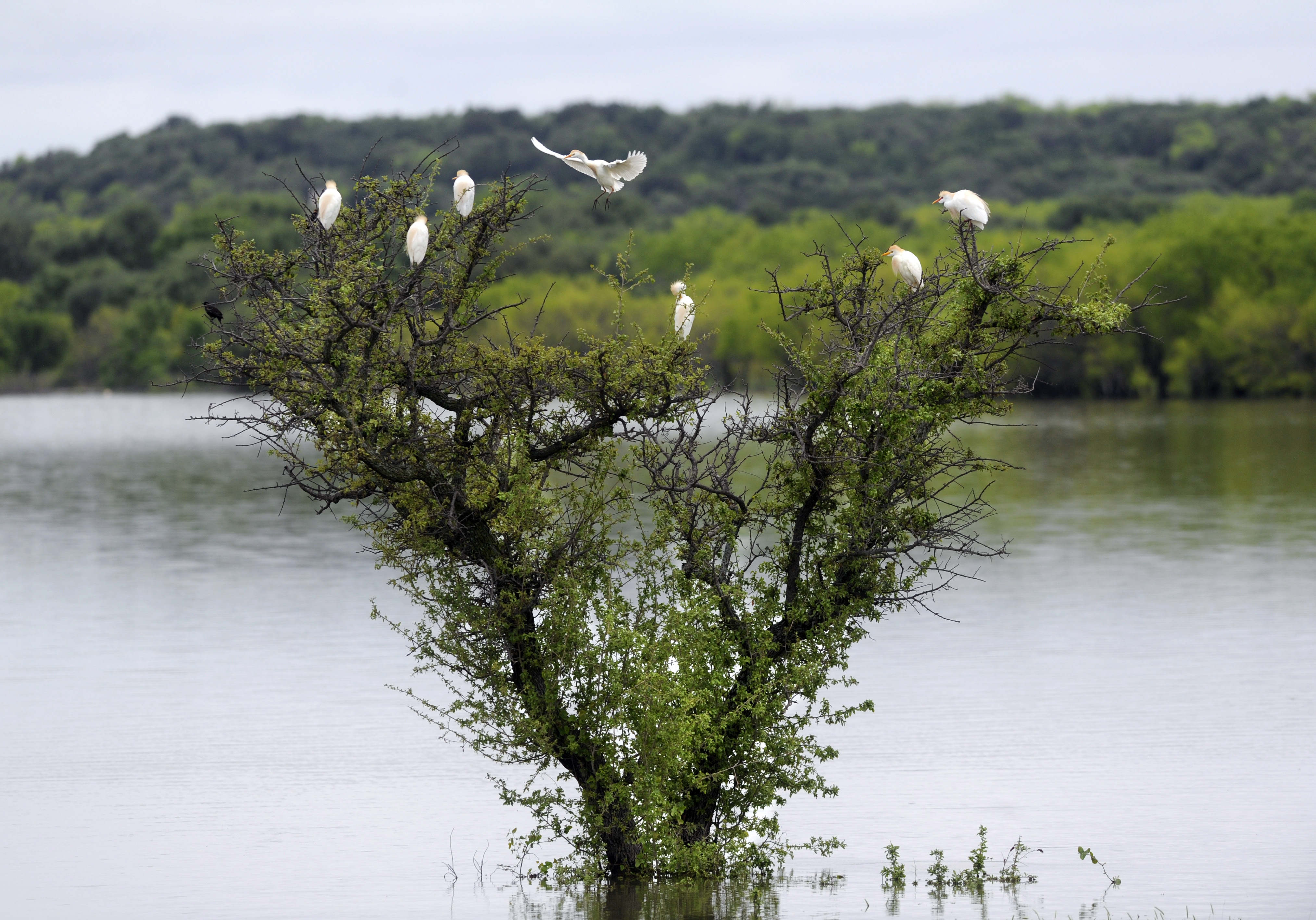 6th body found after Texas flash floods