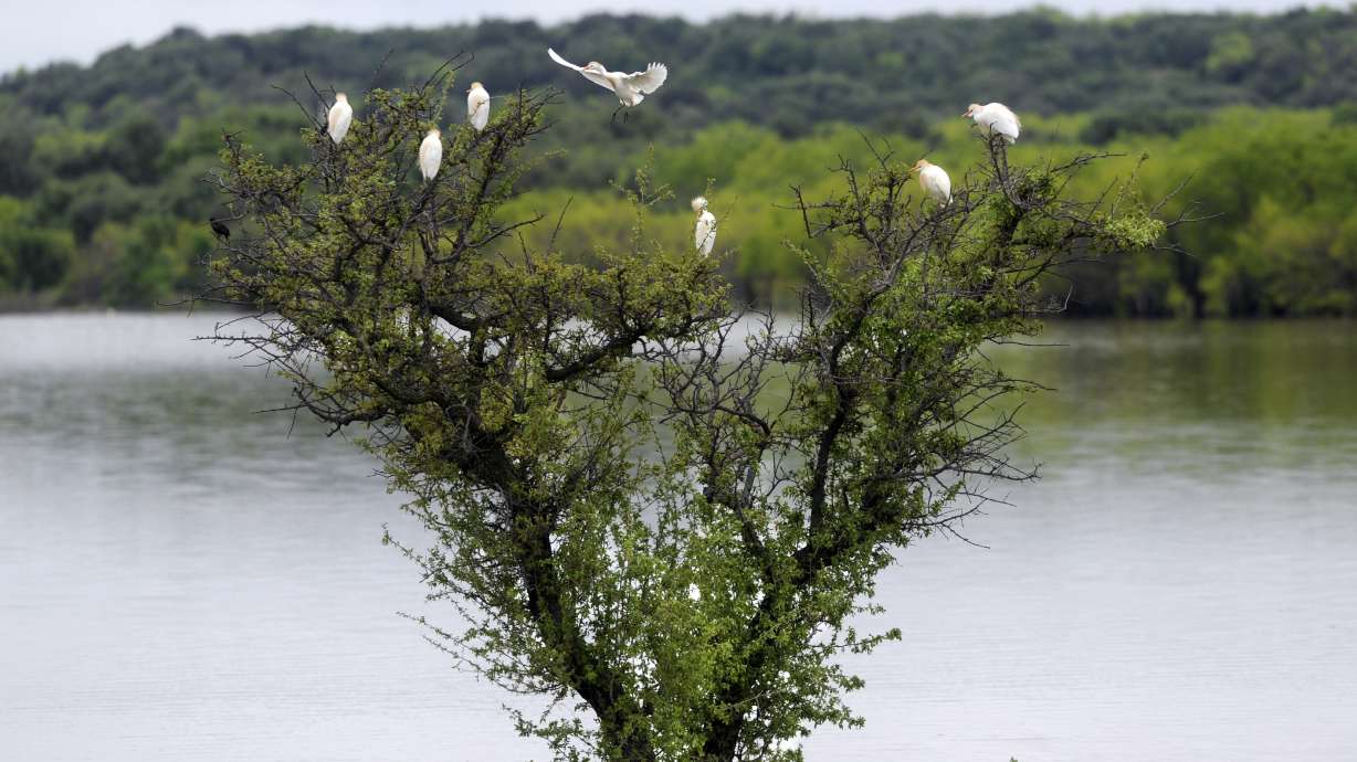 6th body found after Texas flash floods
