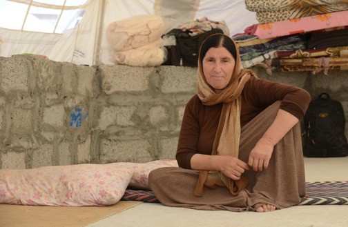 Local philanthropist plans Iraqi healthcare unit for women