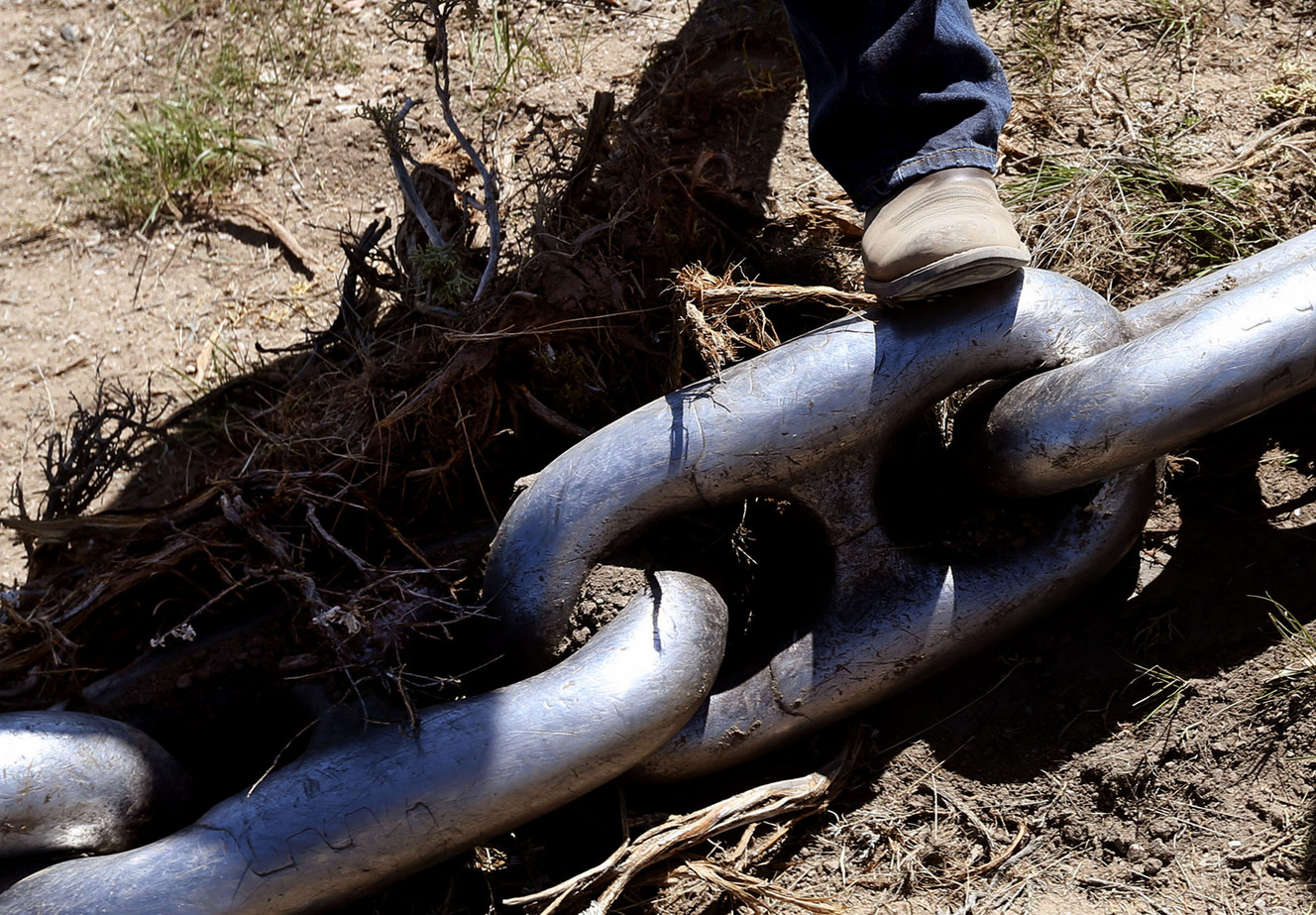 (Photo: Laura Seitz/Deseret News)