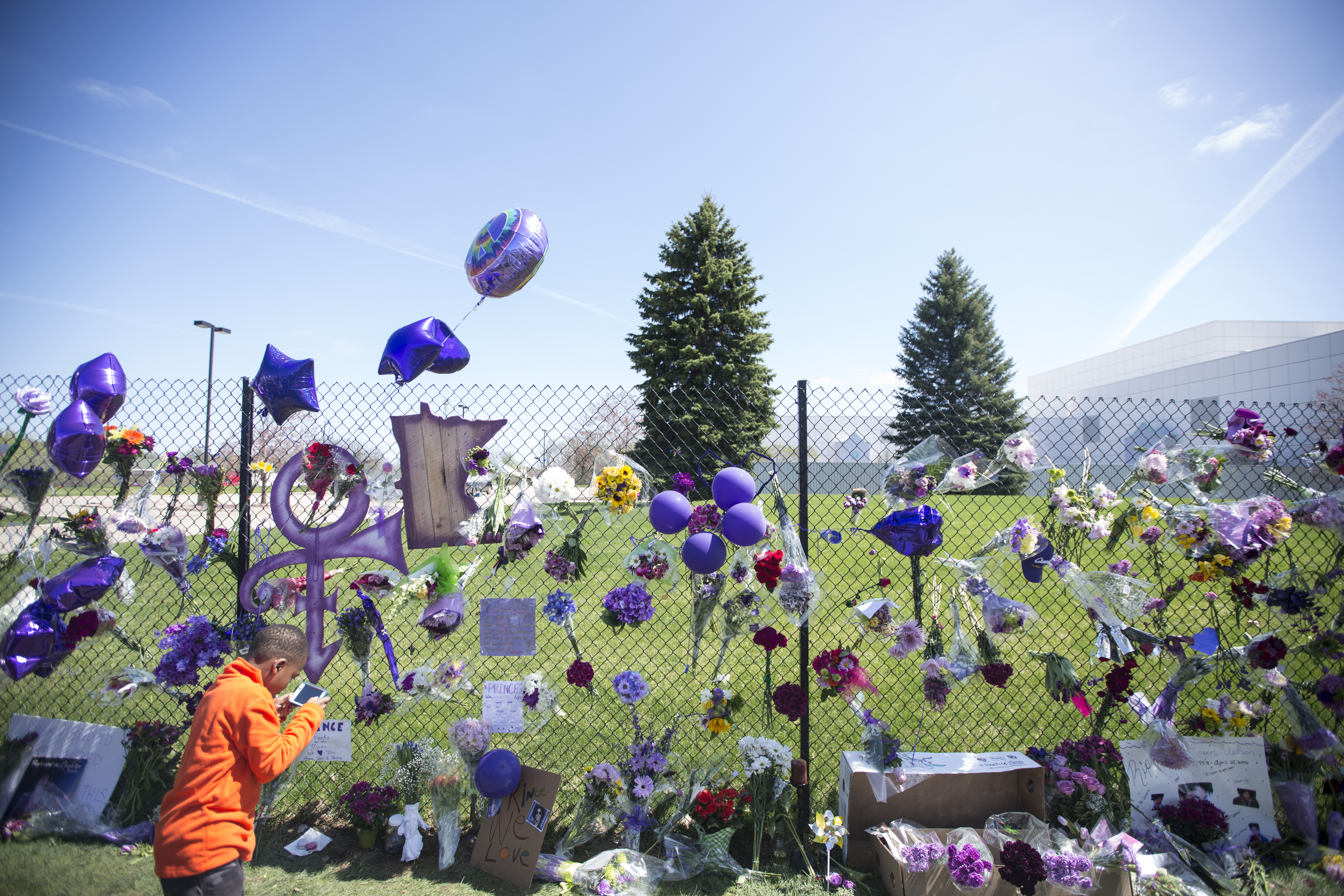 Prince family, friends bid a loving goodbye to pop icon