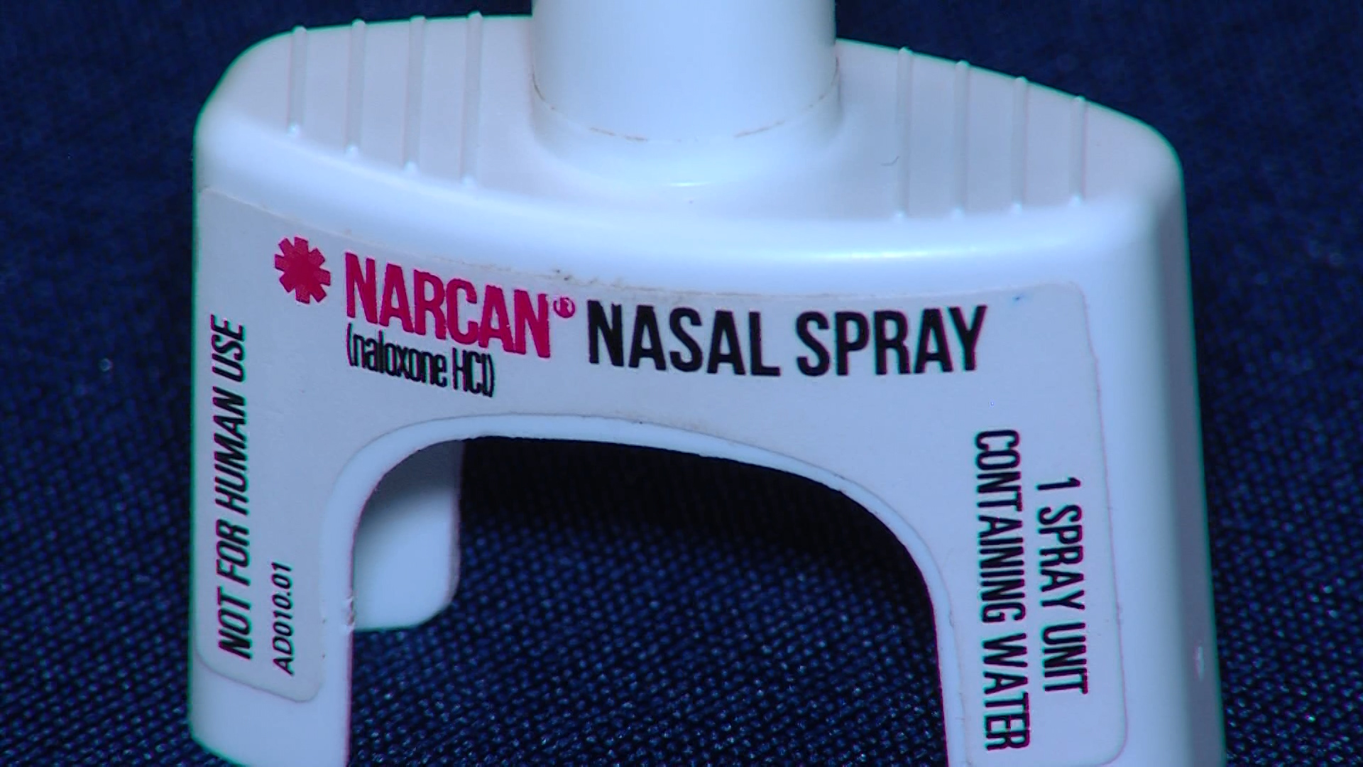 Photo: Derek Peterson/KSL