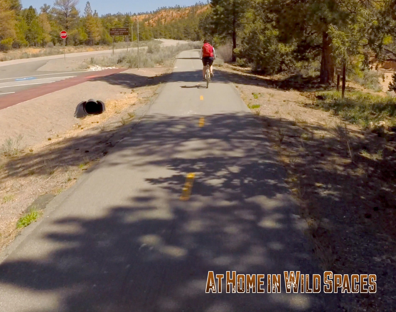 Photo credit: Mike Godfrey, At Home in Wild Spaces