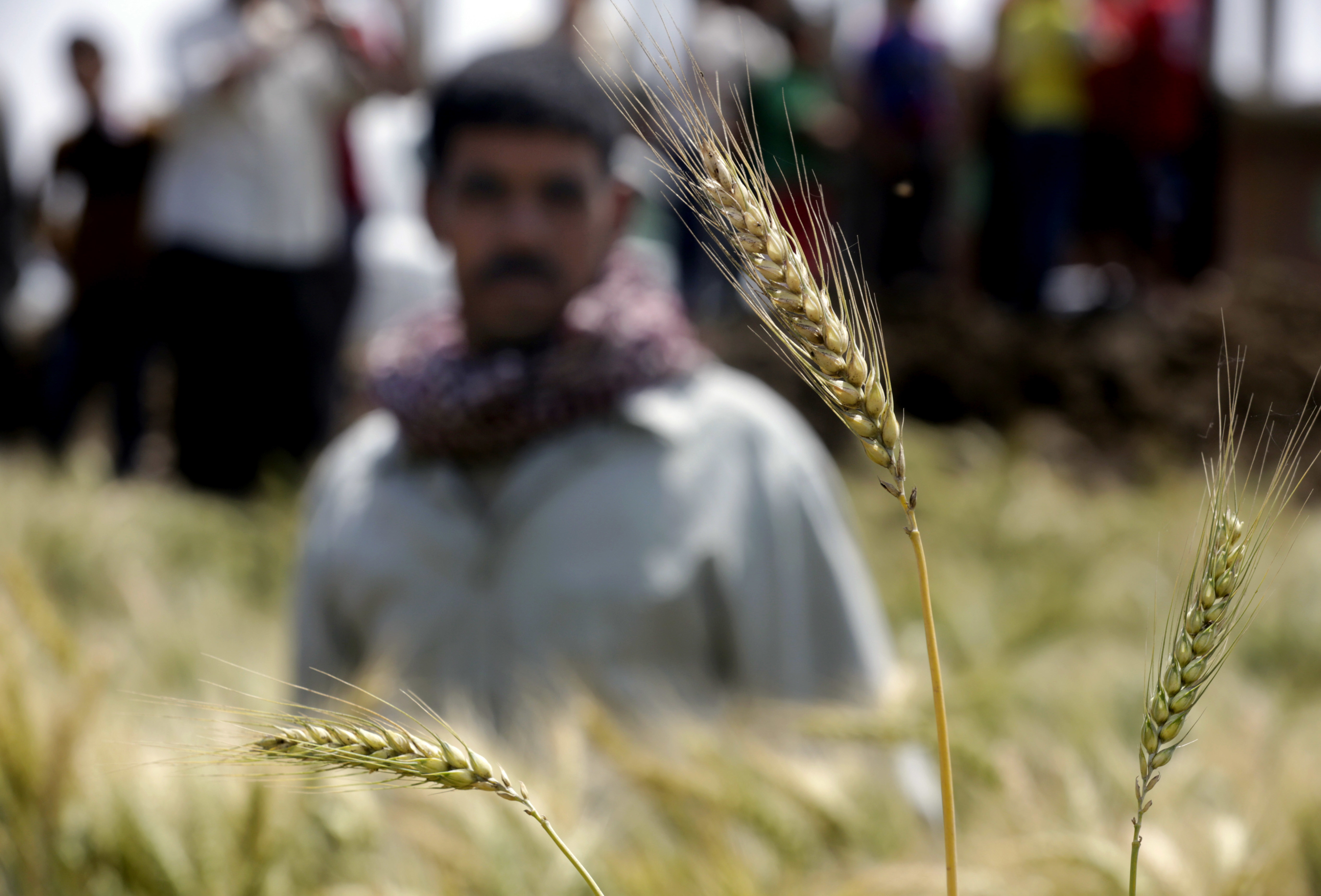 Egypt looks to avert water crisis driven by demand, waste