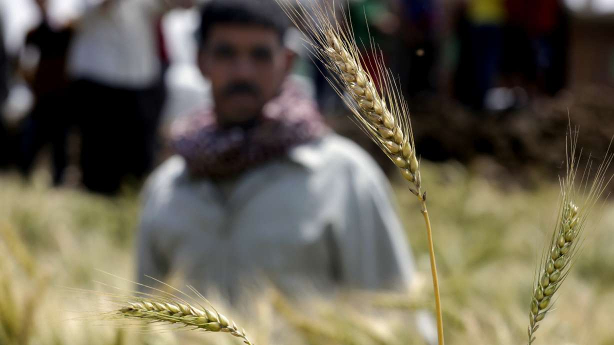 Egypt looks to avert water crisis driven by demand, waste