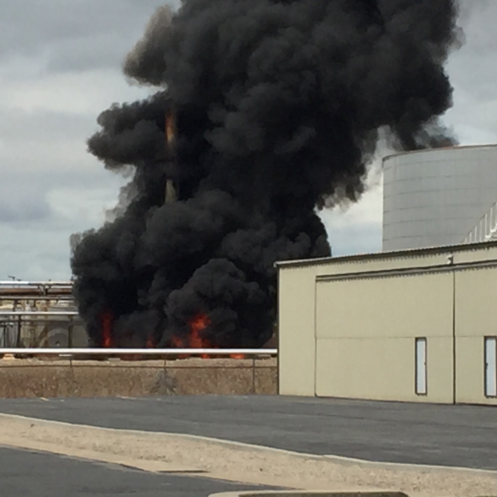 Photo credit: David Moore