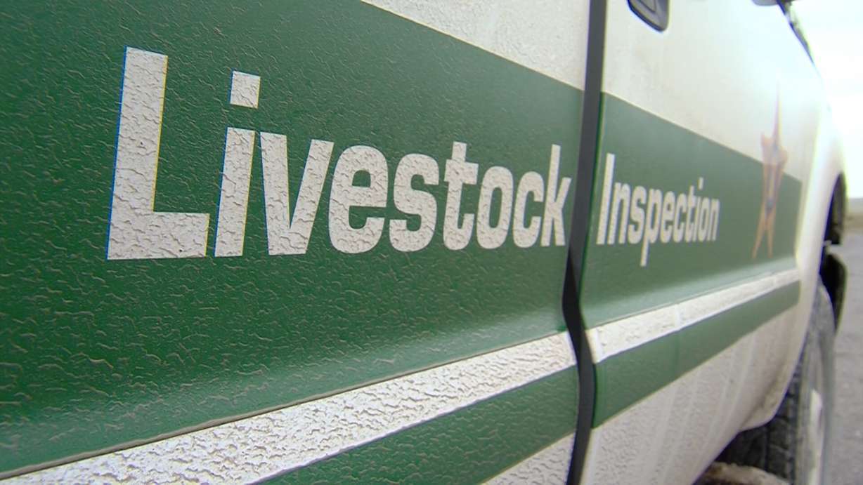 Photo: Mike DeBernardo/KSL-TV