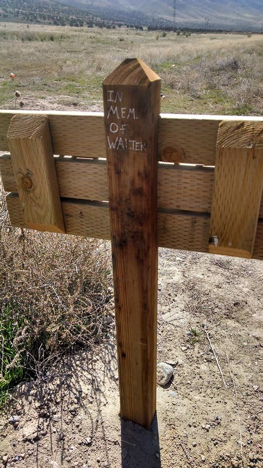 Photo credit: Arianne Brown