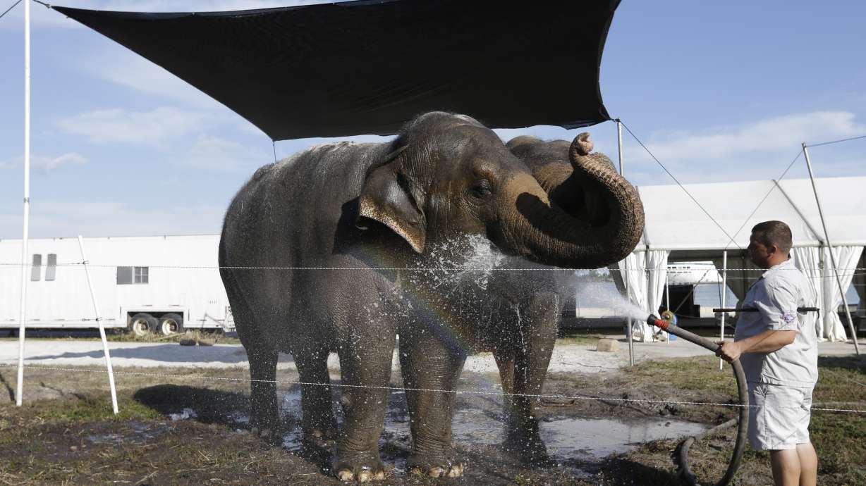 Elephants perform for final time at Ringling Bros.