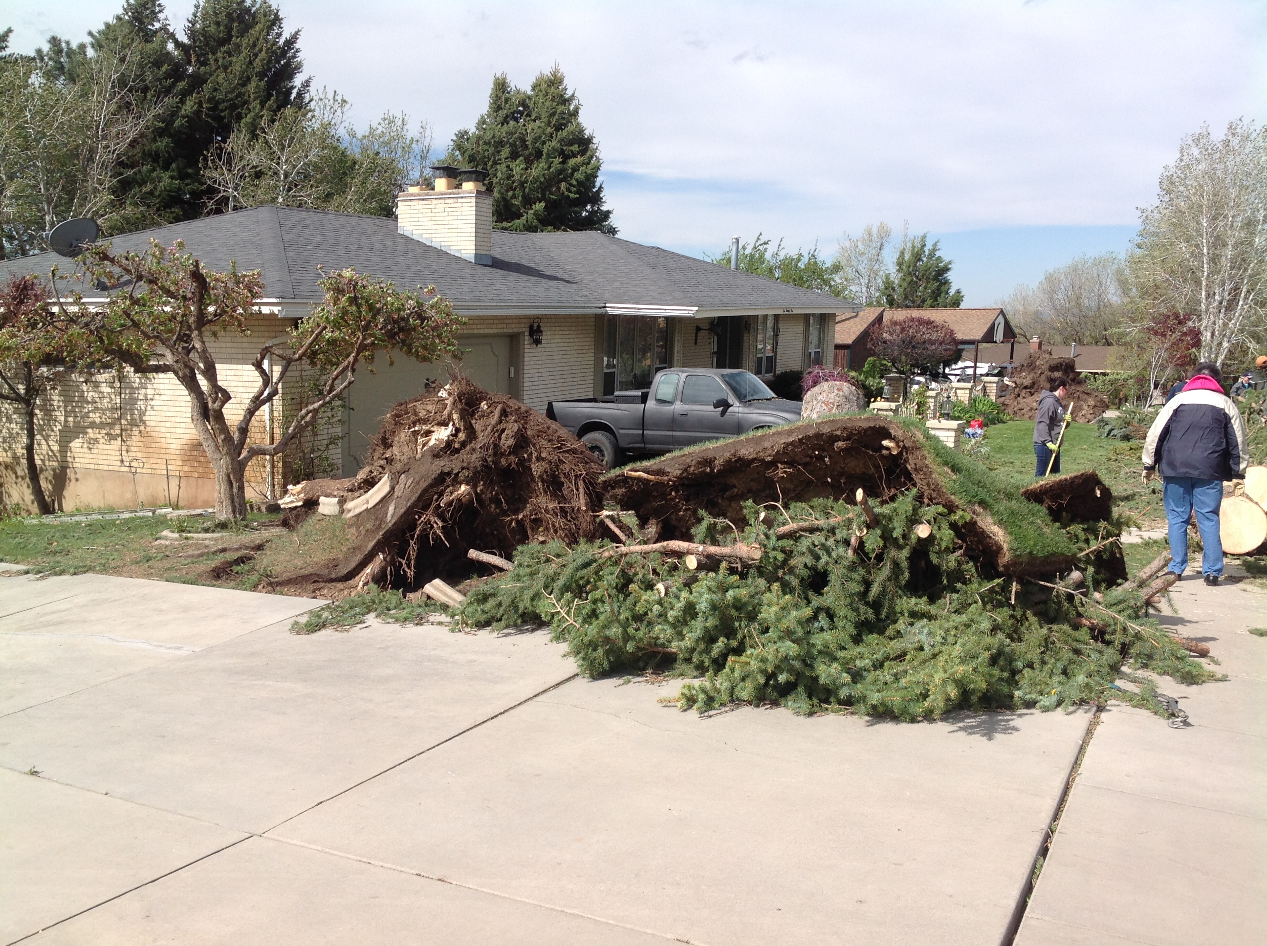 Some Davis, Weber county residents still without power after windstorm