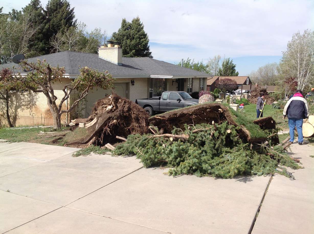 Some Davis, Weber county residents still without power after windstorm
