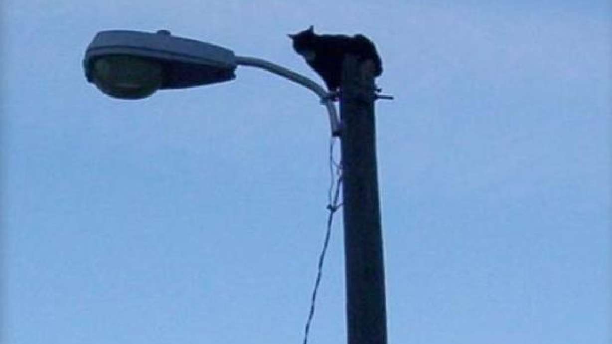 Crews Rescue Halloween Icon
