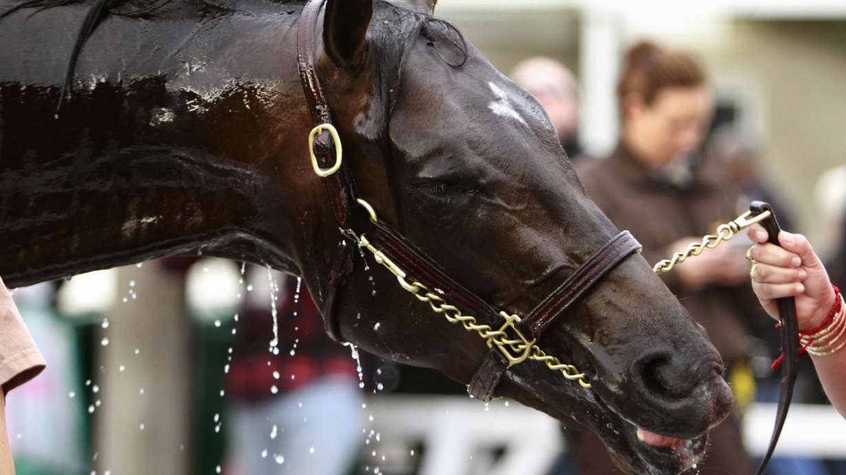 22 horses entered for Kentucky Derby; field limited to 20