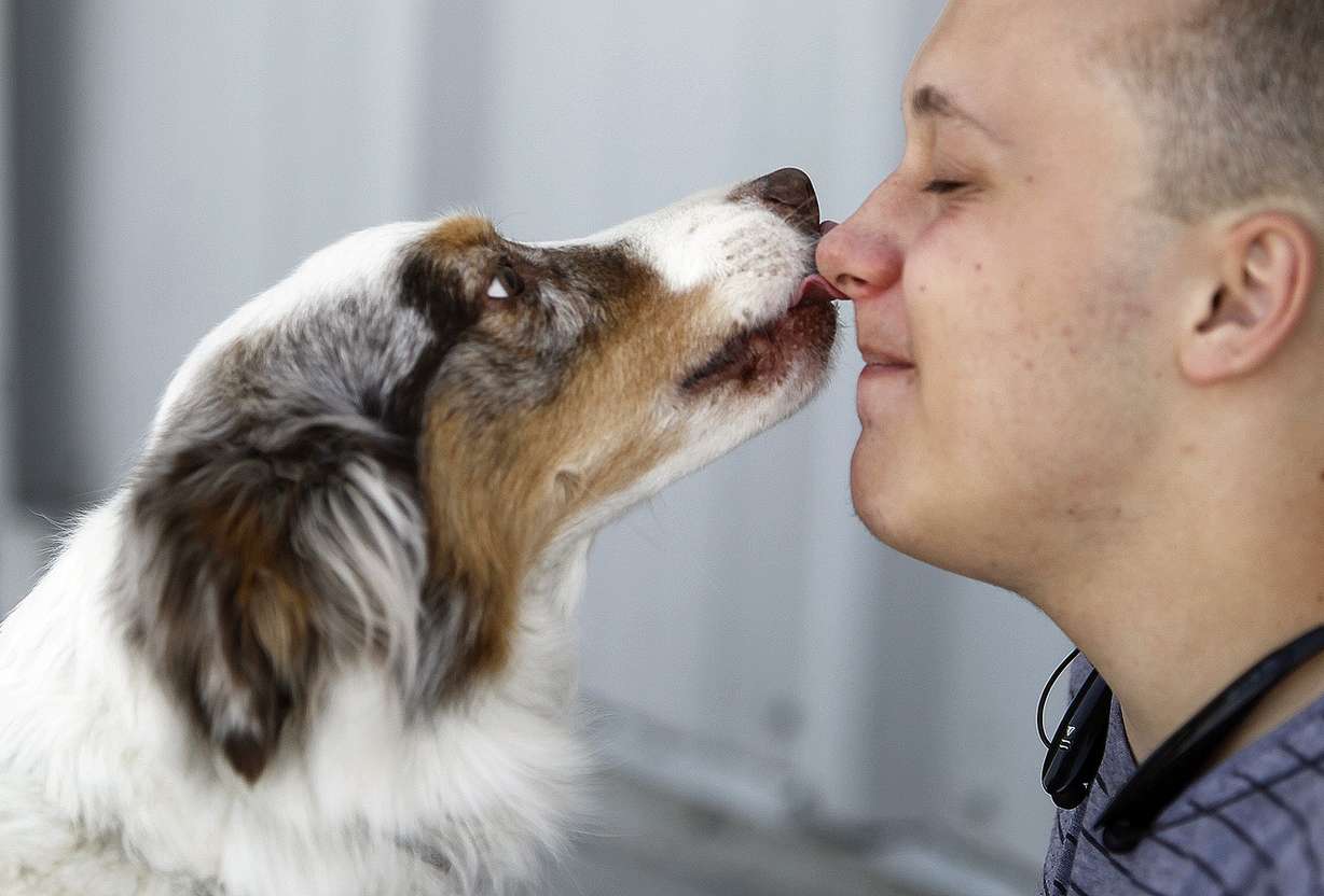 Photo: Chris Samuels/Deseret News