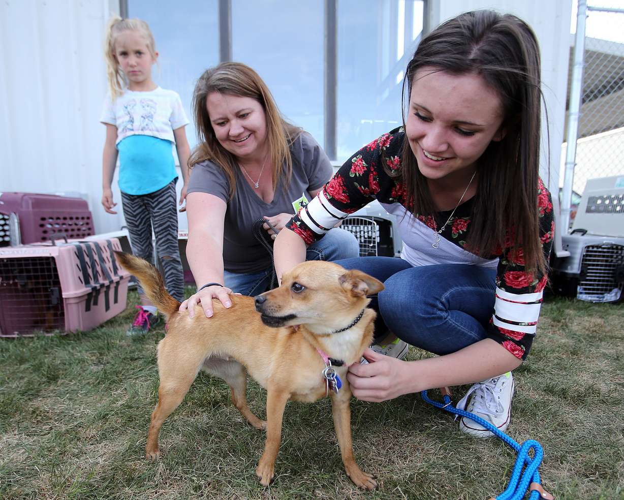 Photo: Chris Samuels/Deseret News