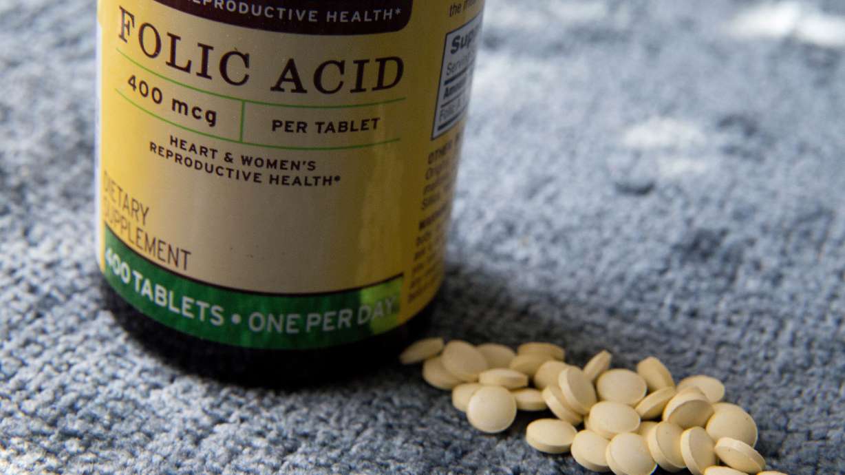 A study asks: Too much folic acid a cause of autism?
