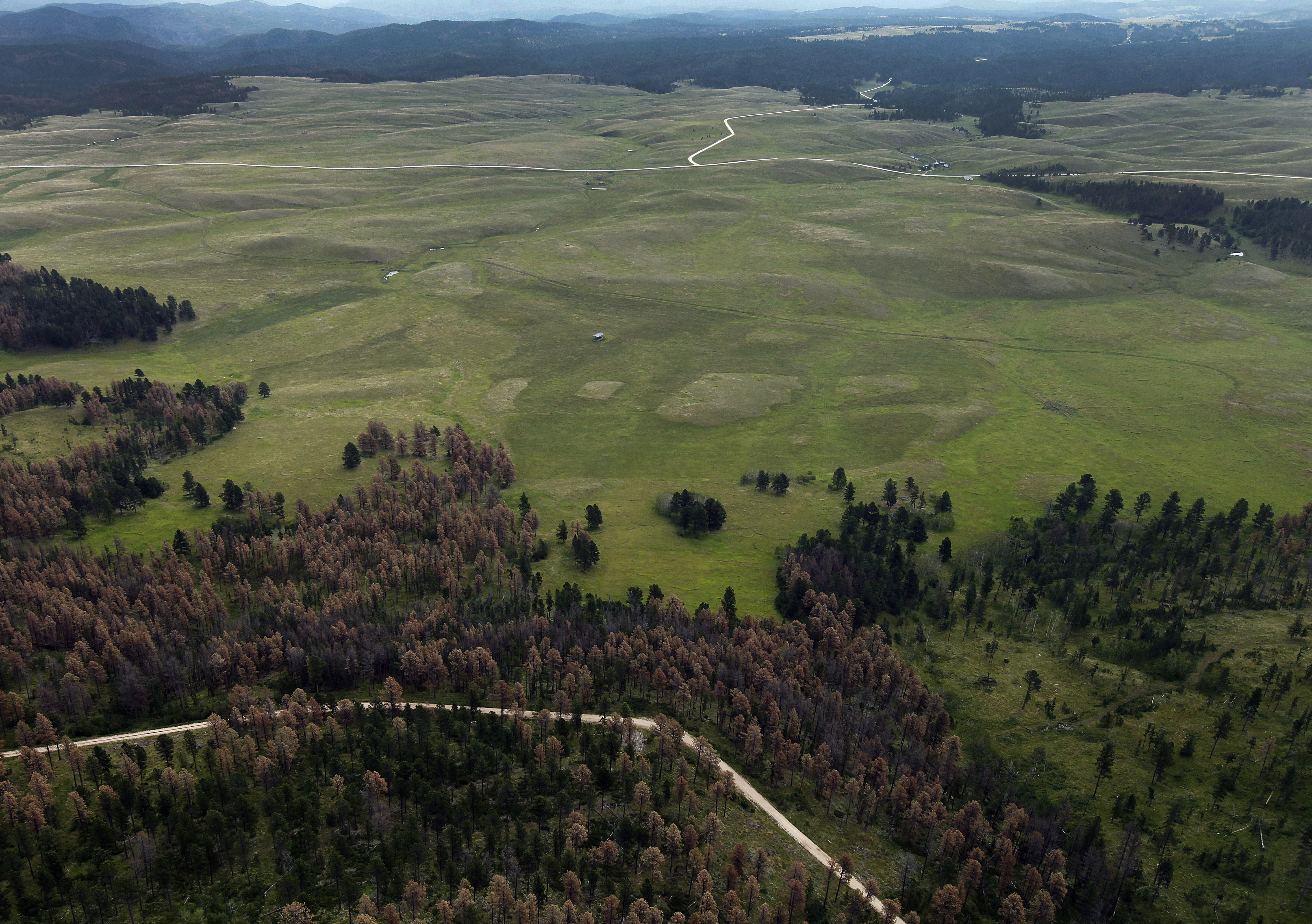 Sioux tribes push to protect sacred Black Hills site Pe' Sla