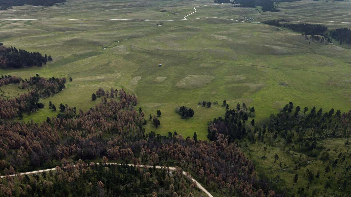 Sioux tribes push to protect sacred Black Hills site Pe' Sla