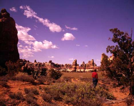 A visitor looks around at Canyonlands National Park, dated in 1950s. (Photo: Al Watkins Morton, Photo Courtesy Utah State History)