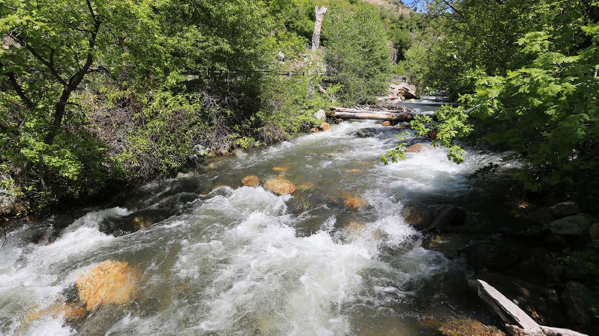 The creek in Big Cottonwood Canyon on Friday, May 13, 2016. (Photo: Scott G Winterton, Deseret News)