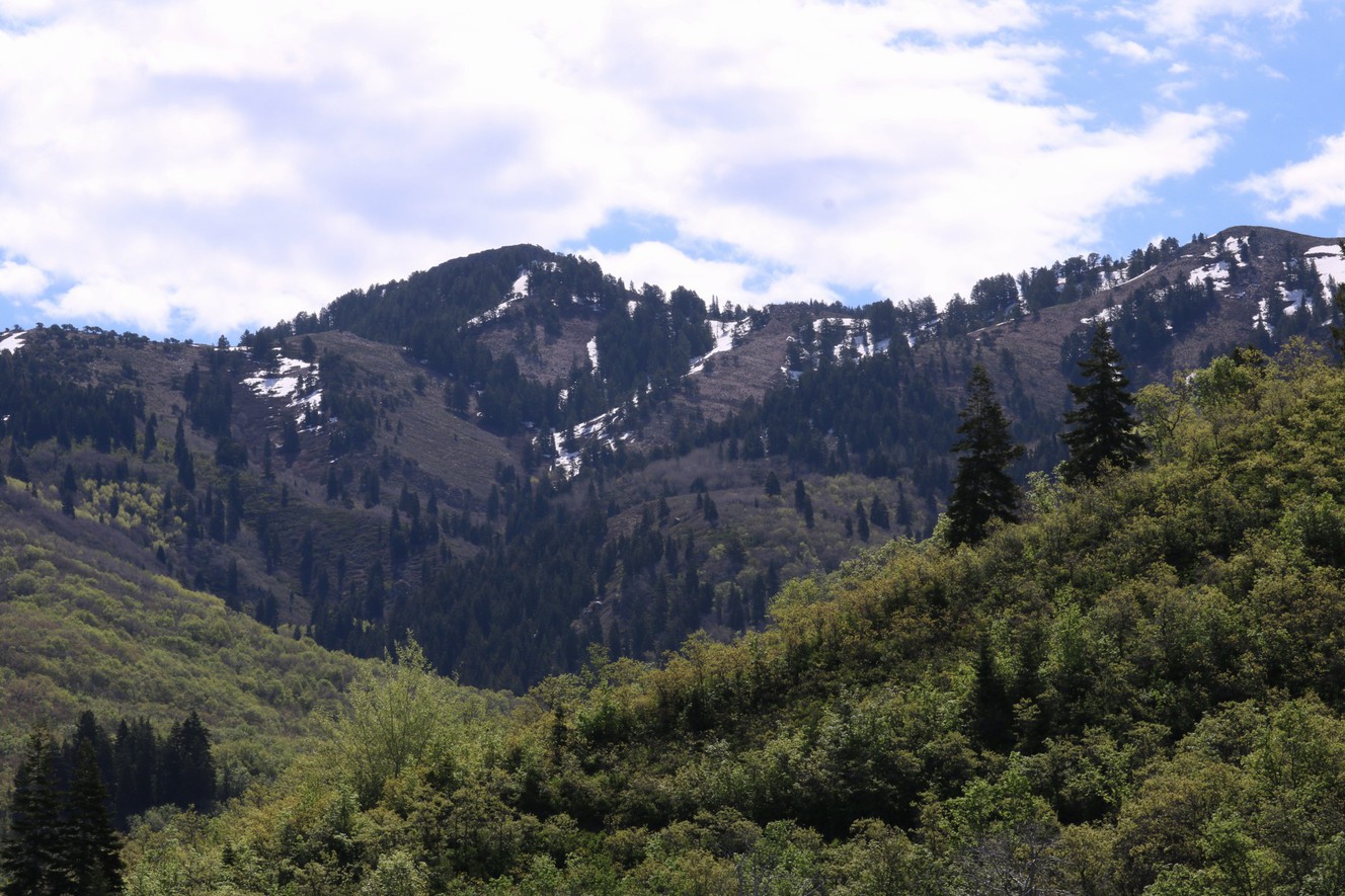 (Photo: Christensen family)