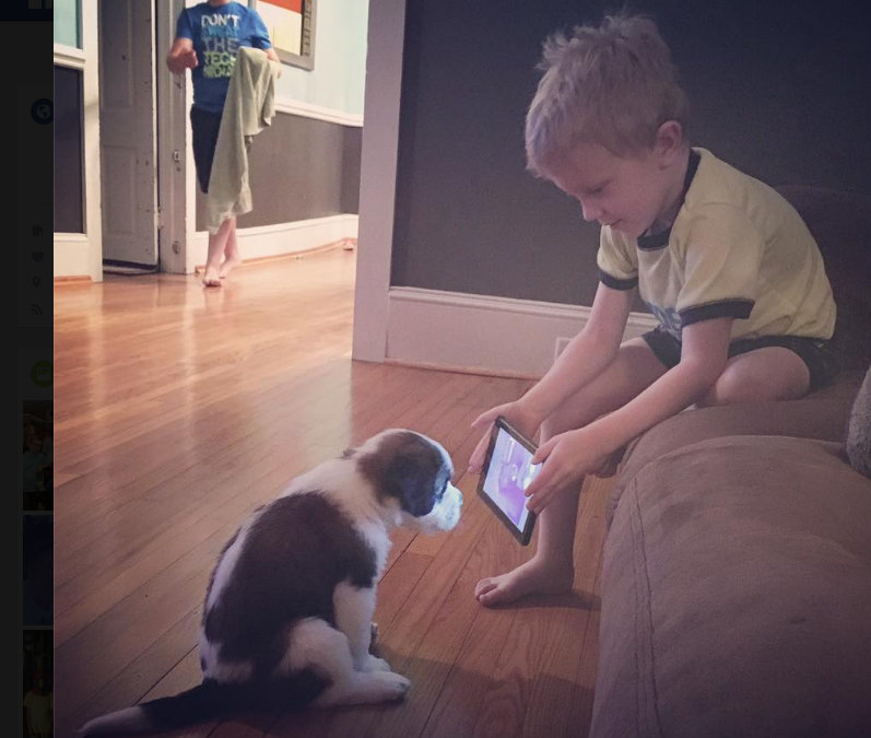 Boy makes puppy watch training videos on YouTube