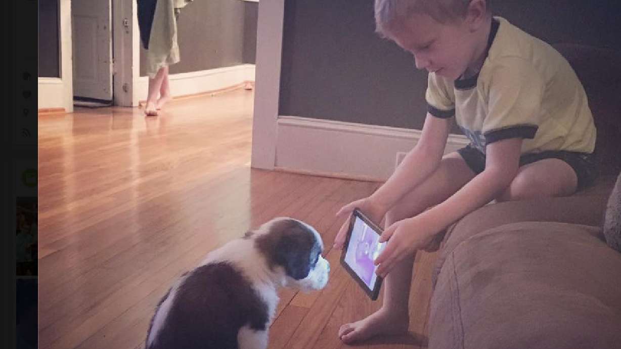 Boy makes puppy watch training videos on YouTube