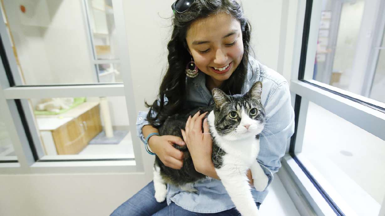 Utah teen leads Humane Society service project to lift shelter animals' spirits