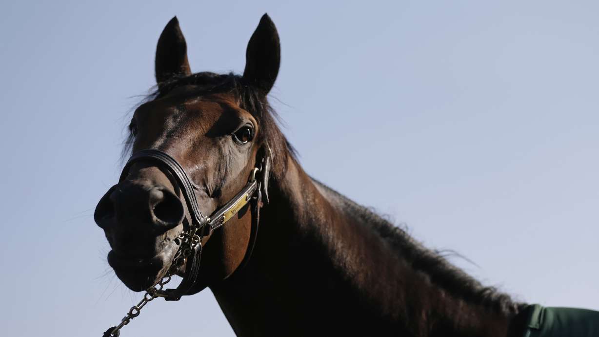 Rain, rain likely not going away for Preakness at Pimlico