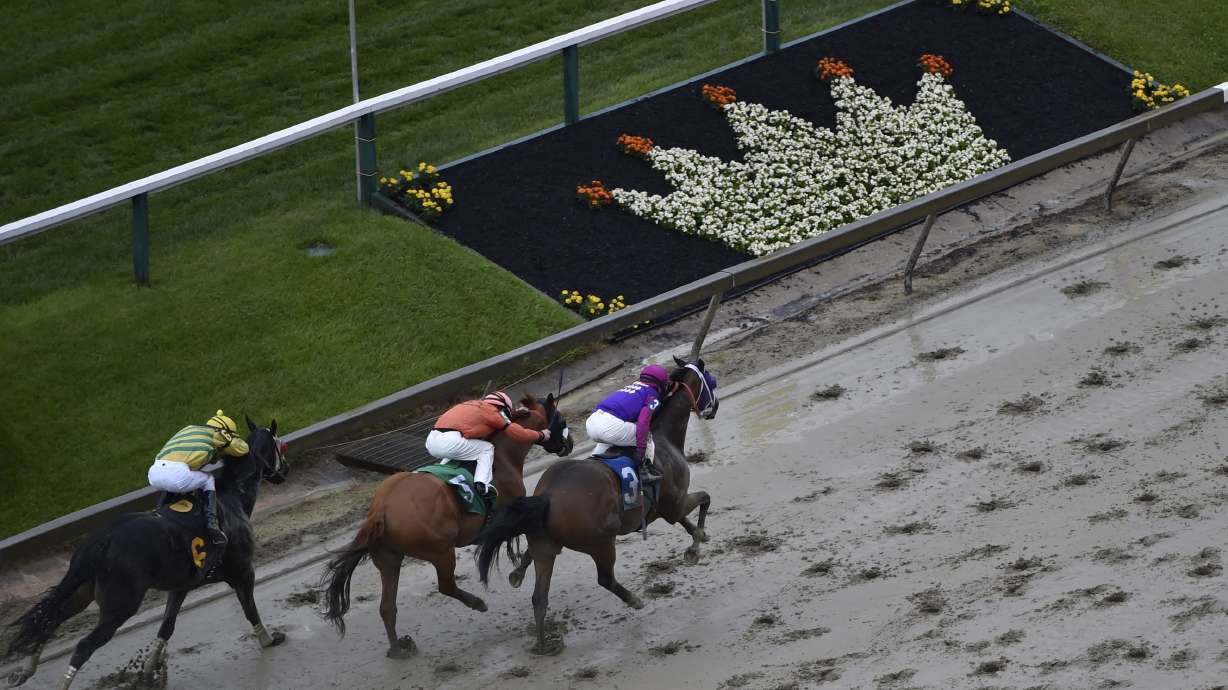 The Latest: Exaggerator wins Preakness