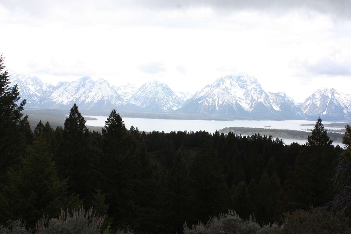The view of the Teton Range from Signal Mountain.