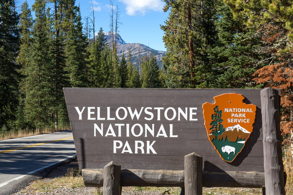 This year is the 150th anniversary of Yellowstone National Park and, over the decades, millions of memories have been created there.