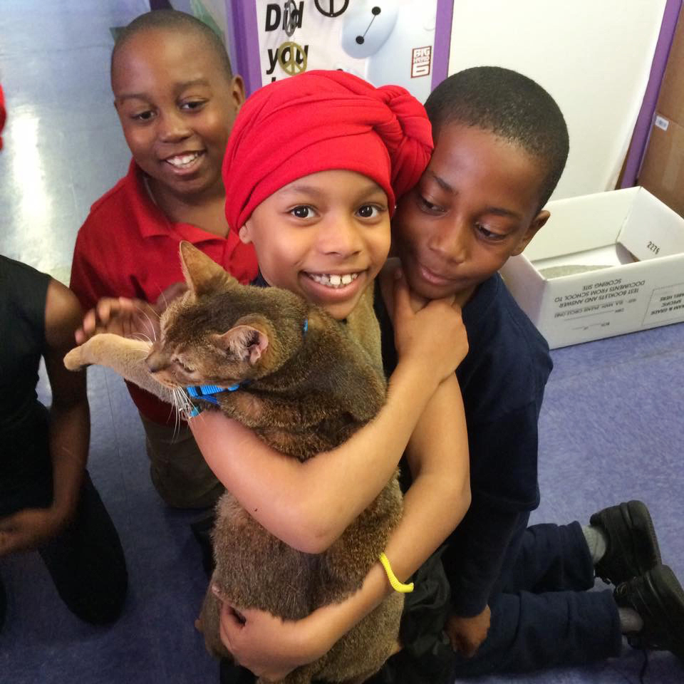 Correction: Declawing Cats story