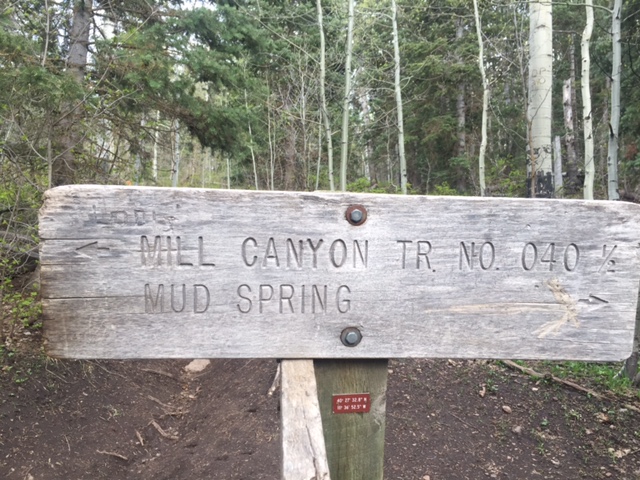 Faith Heaton Jolley/KSL