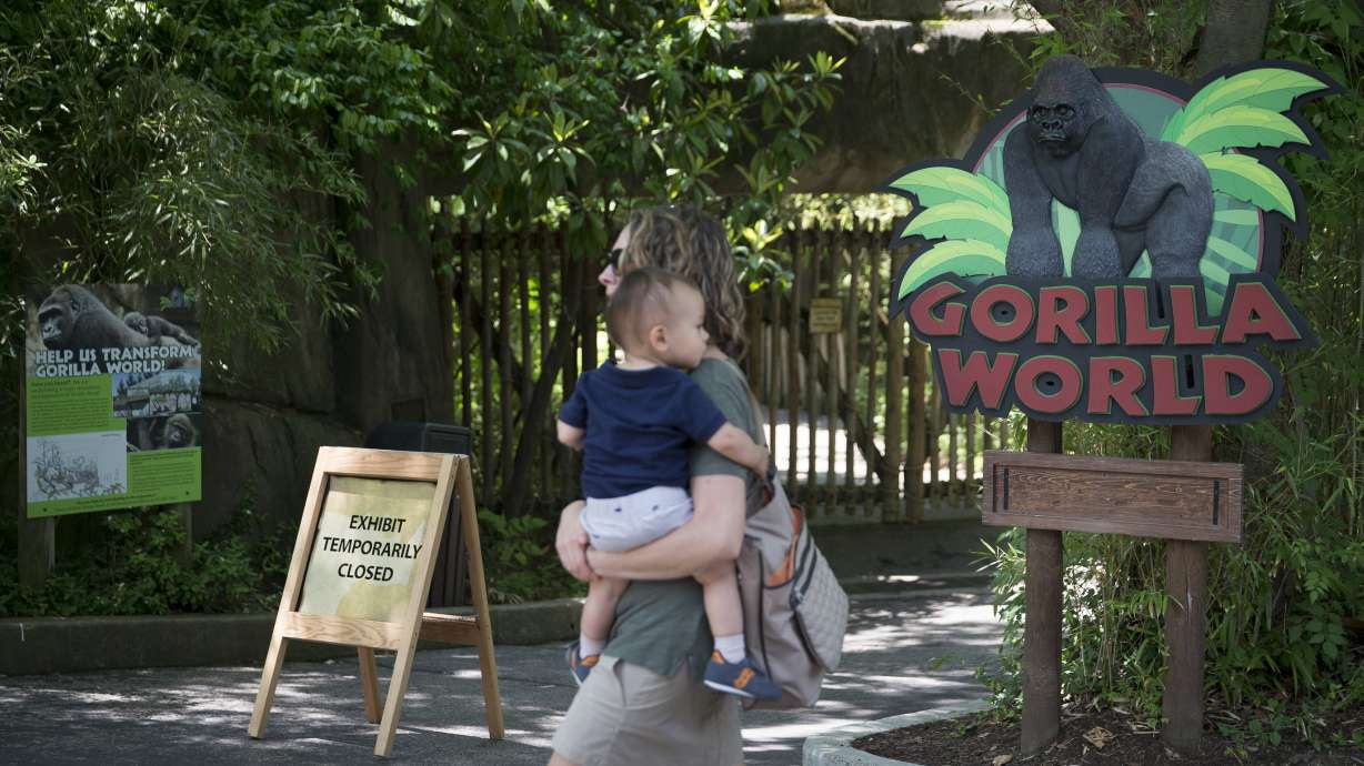 The Latest: Jack Hanna backs decision to kill gorilla at zoo