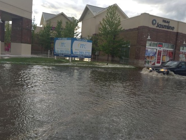 Photo credit: Mercedes Thompson