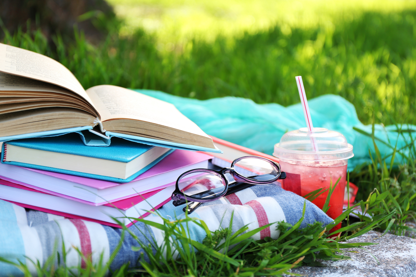 6 summer reading picks for the grown-ups