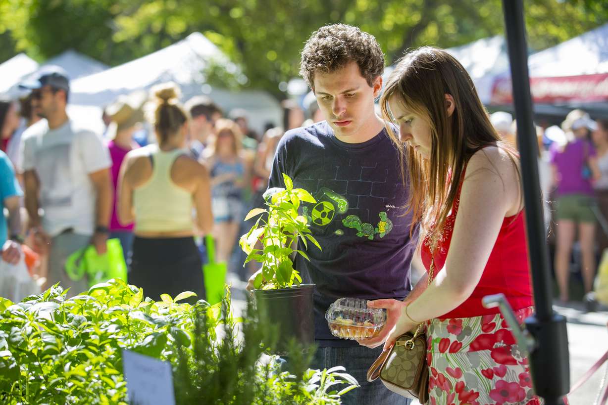 (Scott G Winterton, Deseret News)